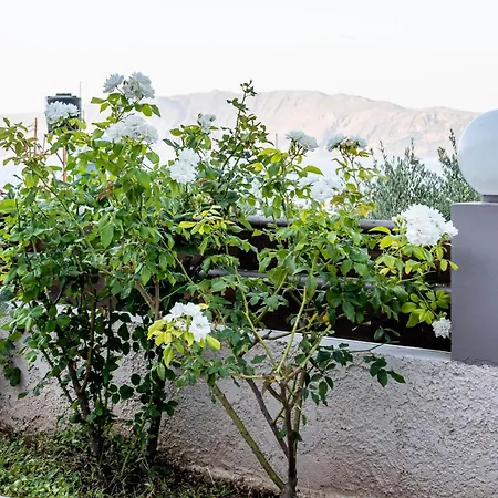 Casa vacanze M & E Sea View House *